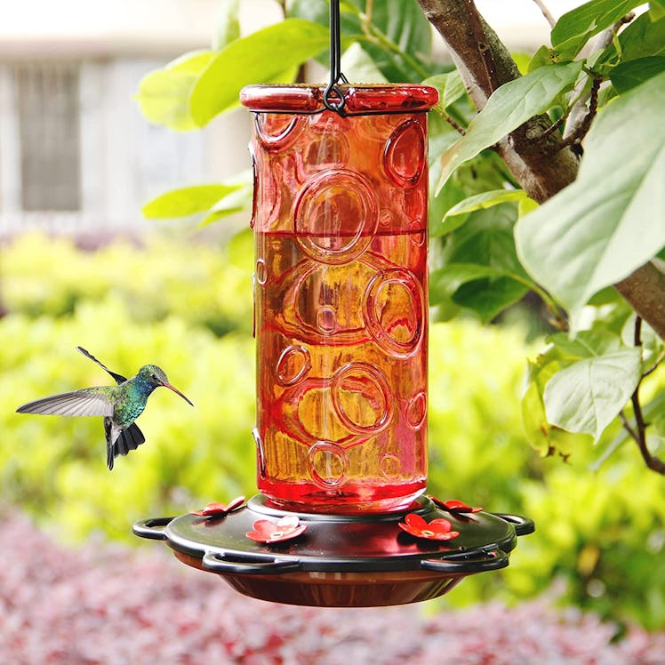 Juegoal Glass Hummingbird Feeders