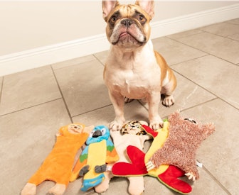 Leashboss Unstuffed Crinkle Dog Toys (5-Pack)