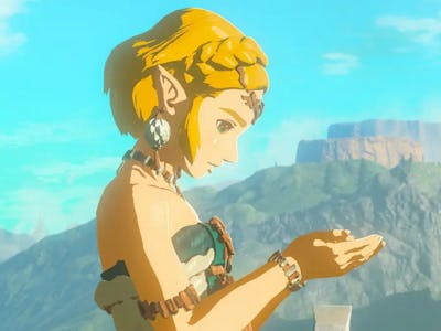 Tears of the Kingdom zelda holding tear