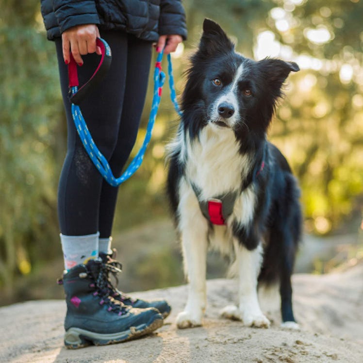 Kurgo Hands Free Ascender Dog Leash