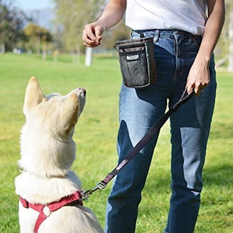 Leashboss Dog Training Treat Pouch 