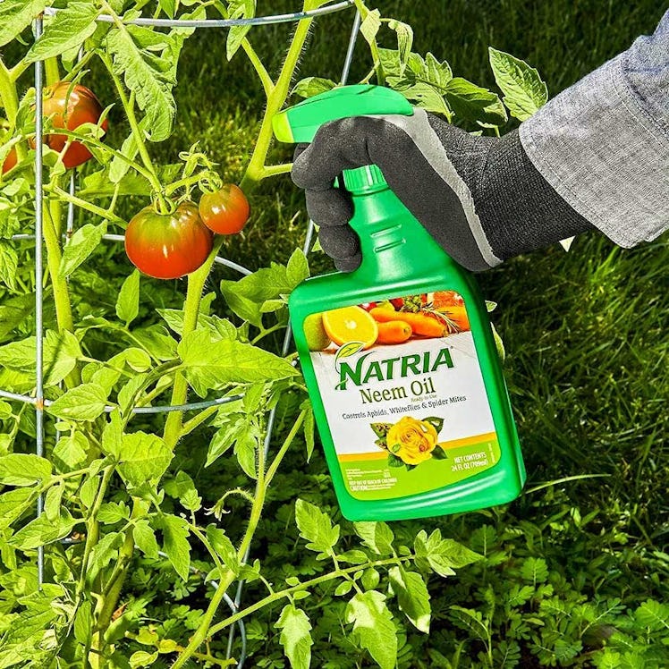 Natria Neem Oil Spray for Plants