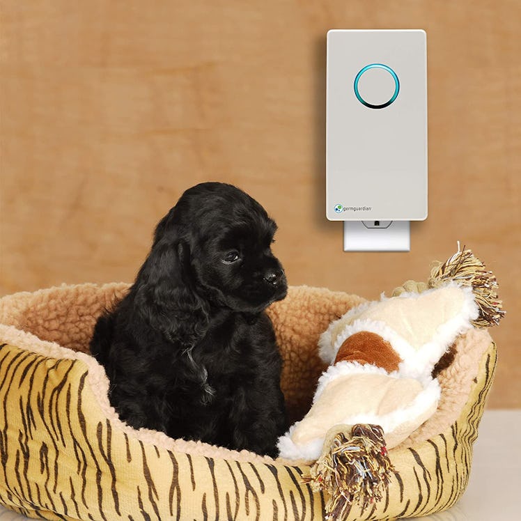 Germ Guardian Plug-In Air Purifier