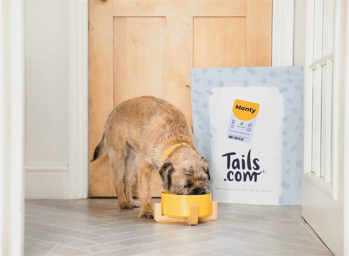 Customise Your Dog&rsquo;s Diet Plan