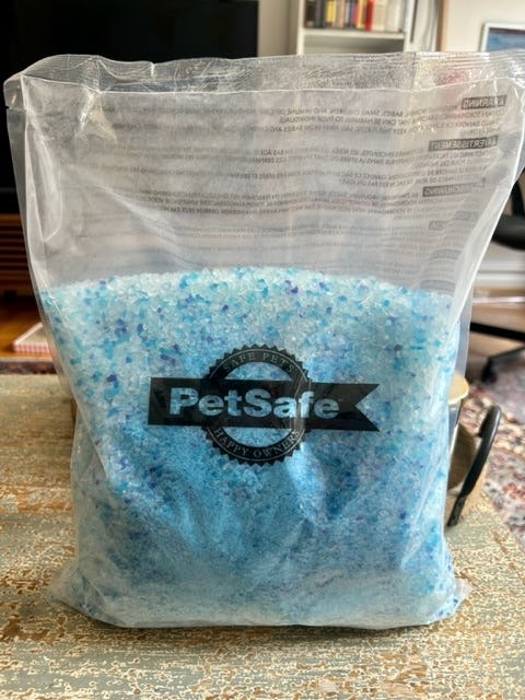 The Best Cat Litters For Odor Control 2023, Tested & Reviewed