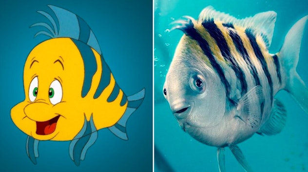 Flounder in the 1989 version of Disney's 'The Little Mermaid' and the 2023 live-action version.