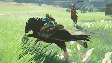 Breath of the Wild Link riding horse