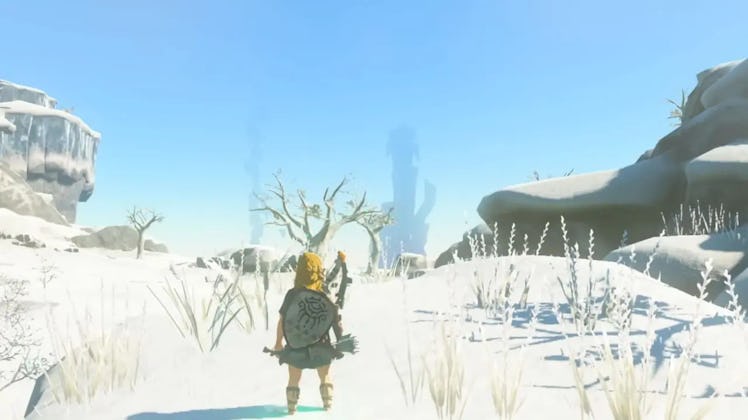 zelda tears of the kingdom link snow cold