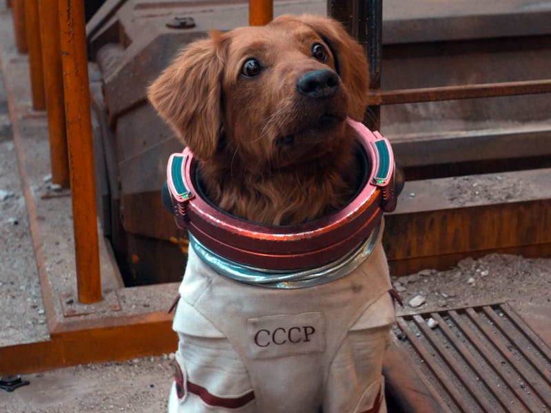 Cosmo the Spacedog in Guardians of the Galaxy Vol. 3