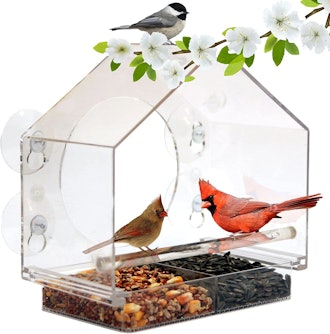 Nature Anywhere Clear Plastic Window Bird Feeder
