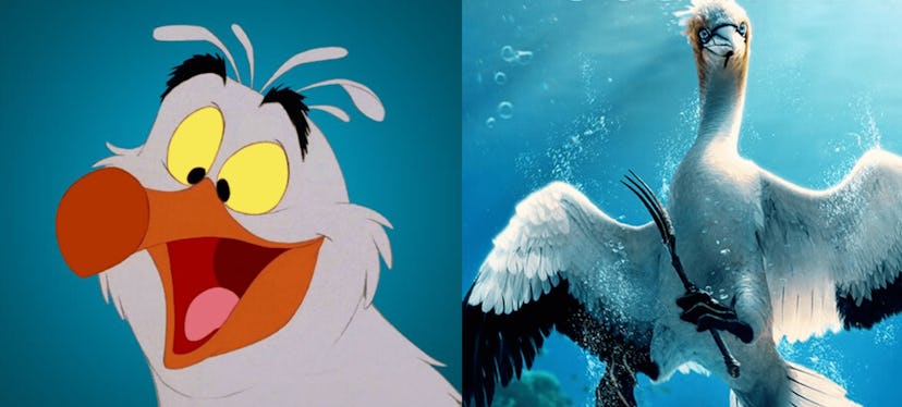 Scuttle in the 1989 version of Disney's 'The Little Mermaid' and the 2023 live-action version.