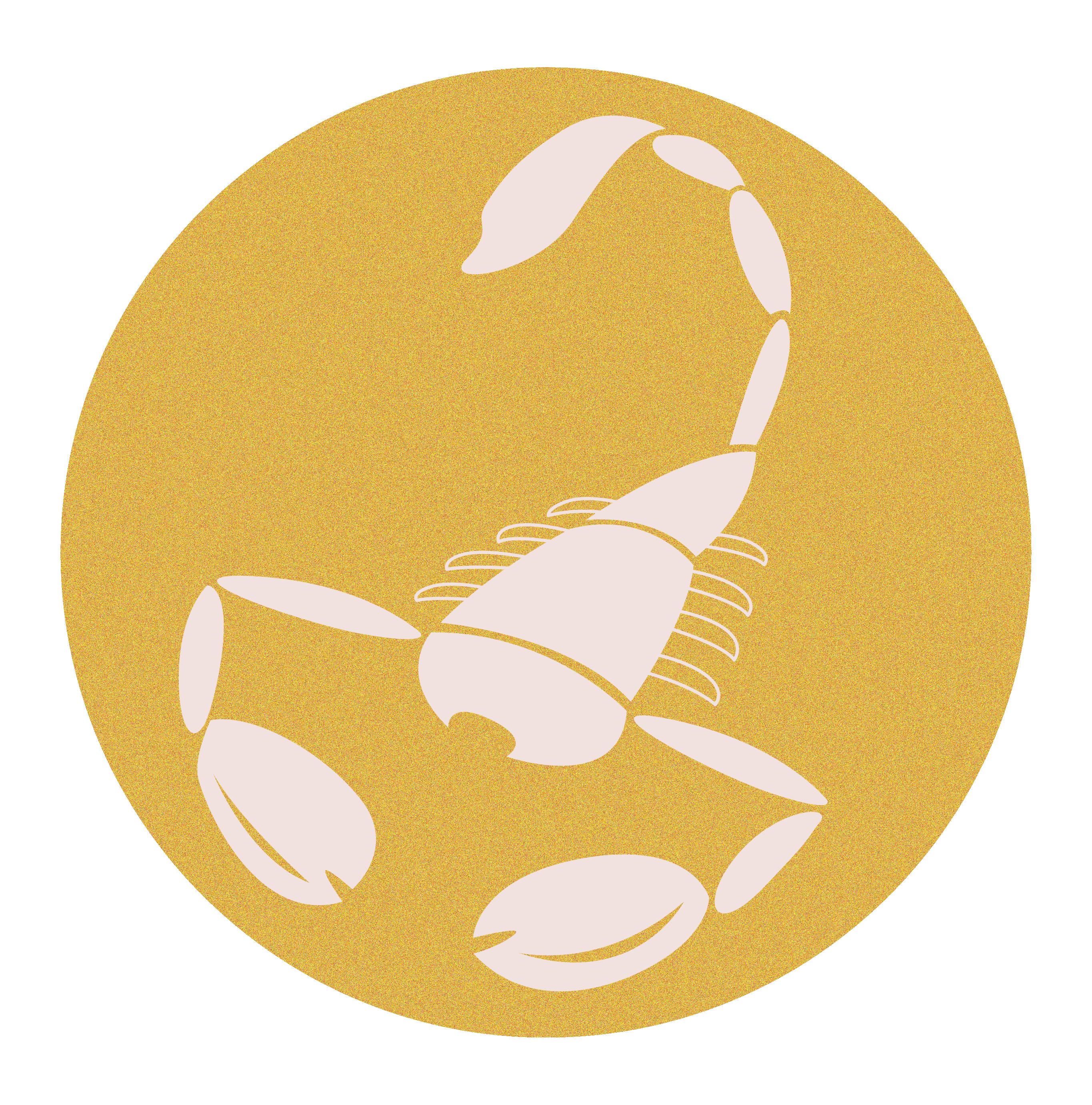 Here&rsquo;s how the May 2023 new moon affects Scorpio zodiac signs