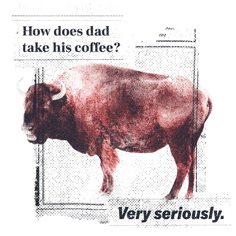 Father's Day joke: Q: What did the buffalo say when his son left? / A: Bison!