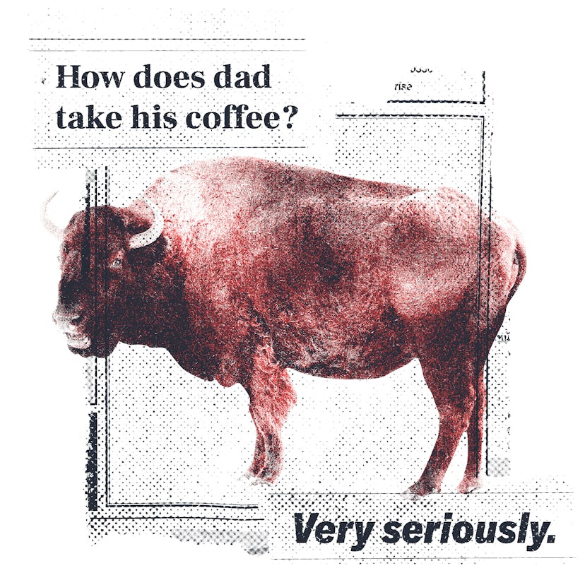 Father's Day joke: Q: What did the buffalo say when his son left? / A: Bison!