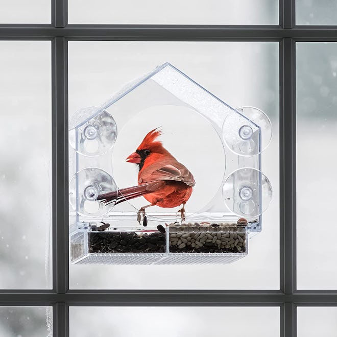 Nature Anywhere Window Bird Feeder 