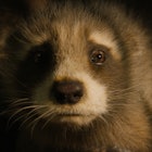 A really sad raccoon in 'Guardians of the Galaxy 3.'