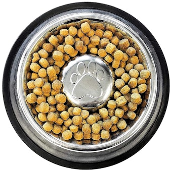 Neater Pet Brands Stainless Steel Slow-Feed Bowl