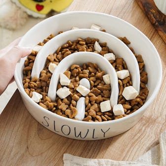LE TAUCI PET Ceramic Slow-Feeder Bowl