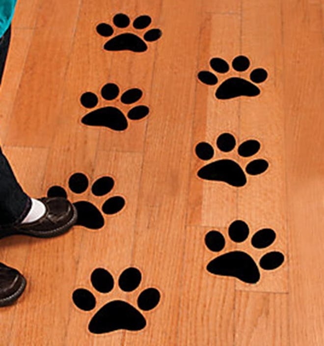 Fun Express Paw Print Floor Clings (12-Pack)