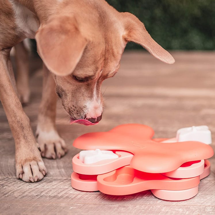 Outward Hound Nina Ottosson Puppy Tornado Treat Puzzle