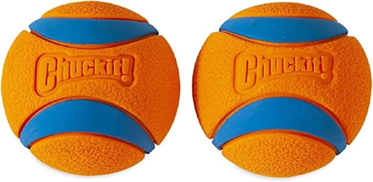 Chuckit Ultra Ball Dog Toy (2-Pack)