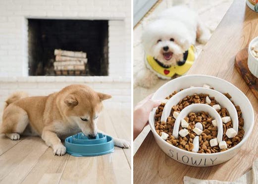 food bowls for dogs that eat too fast