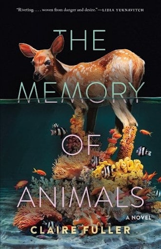 'The Memory of Animals' by Claire Fuller.