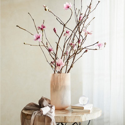 Mother's Day flowers to buy online 2023: these tulip magnolia branches