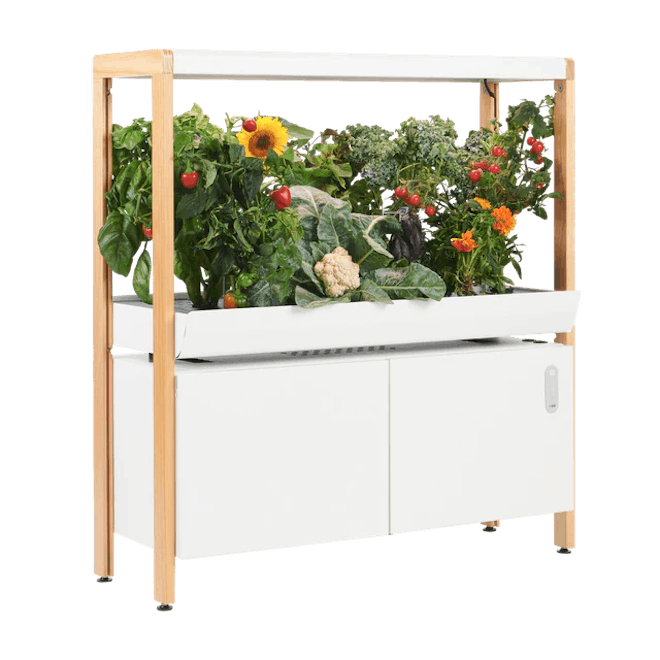 father's day gift idea: The Rise Garden
