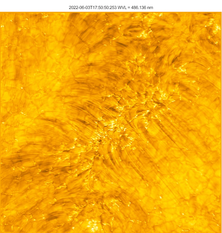 Filaments in the Sun's atmosphere look like bright brushstrokes.