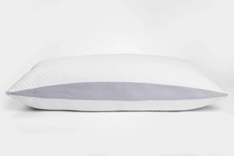 Molecule All-Season Pillow