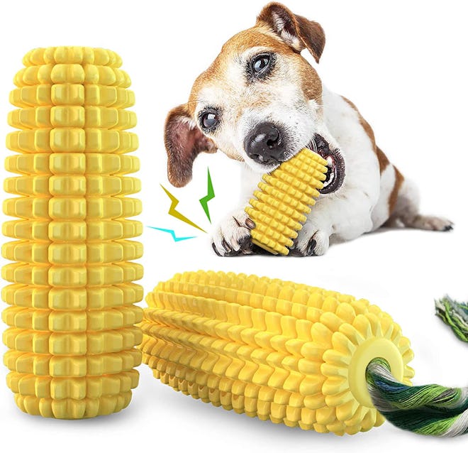 Carlig Dog Chew Toys