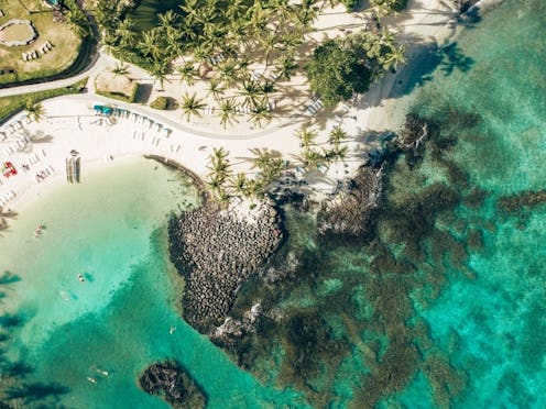 Fairmont Orchid Review