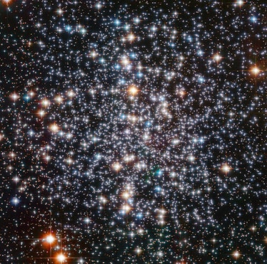 color photo of a round cluster of thousands of stars on a black background