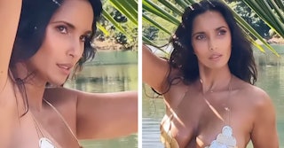 Padma Lakshmi clapped back in the best way at a troll commenter that said she had "fat arms" and tha...
