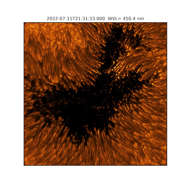 A dark hole framed by a bunch of glowing tentacles make up a sunspot
