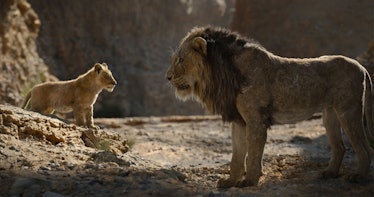 Simba looks at Scar in 2019's The Lion King