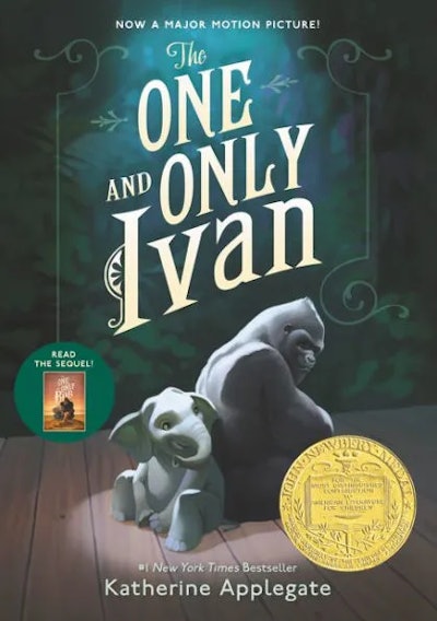 'The One and Only Ivan' written by Katherine Applegate, illustrations by Patricia Castelao