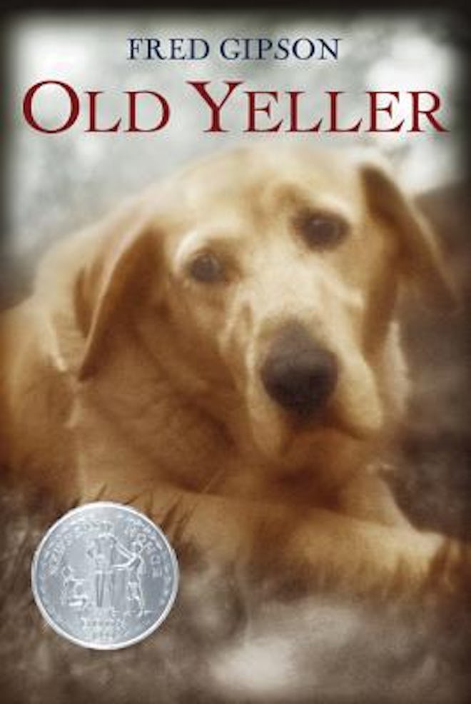 'Old Yeller' by Fred Gipson