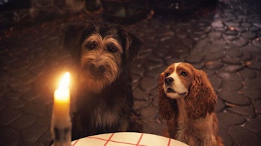 Lady and Tramp look at a candle in 2019's The Lady and the Tramp