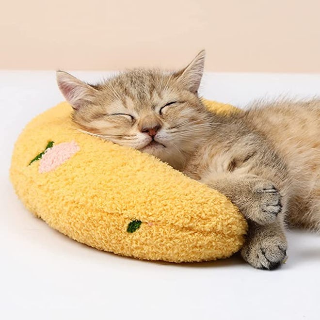 Les Arbres Fair Little Pillow for Cats