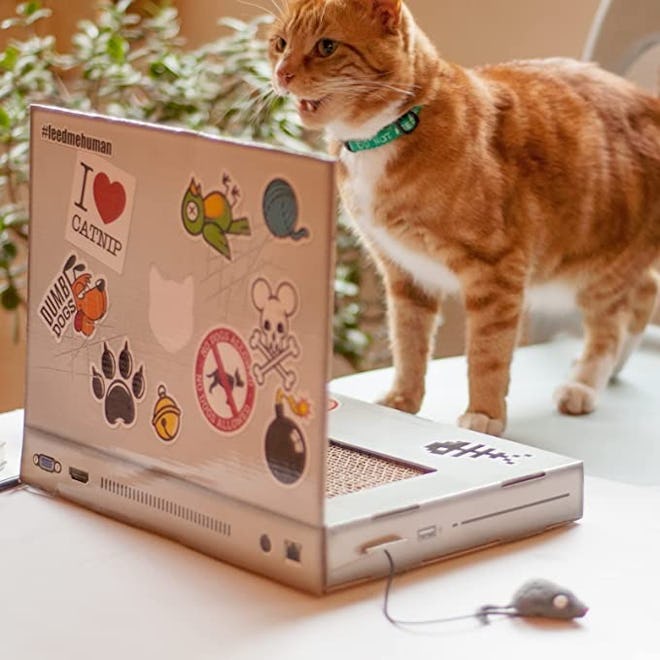 Suck UK Cat Scratch Laptop