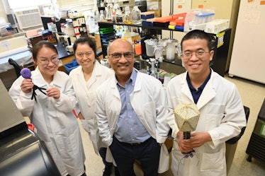An image of Rao and his colleagues who are working on a new kind of gene therapy.
