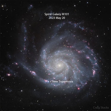 photo of a white and blue spiral galaxy with an arrow pointing to the location of a new supernova in...