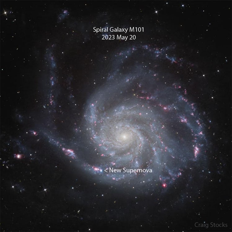 photo of a white and blue spiral galaxy with an arrow pointing to the location of a new supernova in...