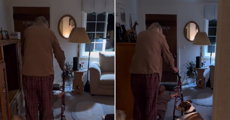 TikTok video showing a great-grandfather walking with his great-granddaughter