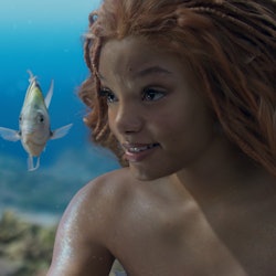Scuttle (voiced by Awkwafina), Flounder (voiced by Jacob Tremblay), and Halle Bailey as Ariel in Dis...