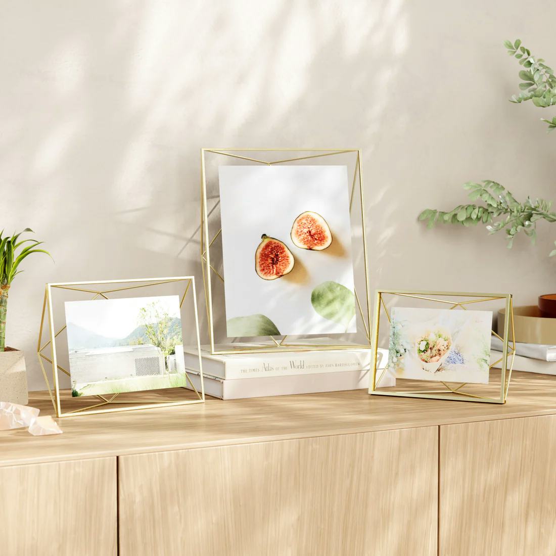 Prisma Picture Frame