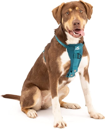 Kurgo Tru-Fit Car Dog Harness