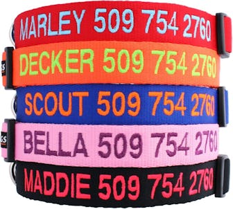 GoTags Personalized Dog Collar